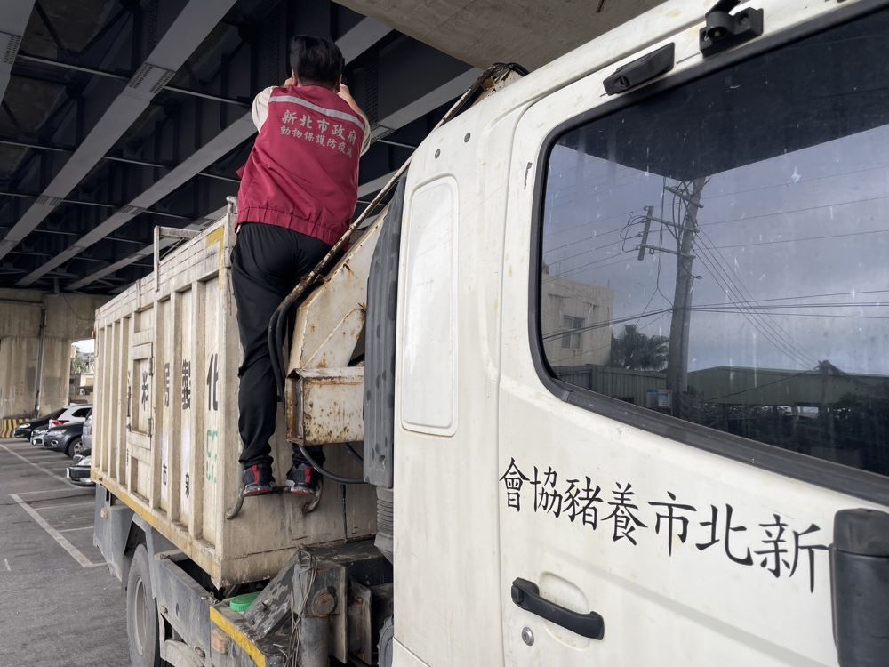 《圖說》新北動保處加強盤查死廢畜禽化製原料運輸車盤查作業。〈動保處提供〉