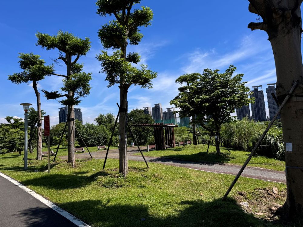 《圖說》溪州公園現況多為喬木植栽綠地。〈高灘處提供〉