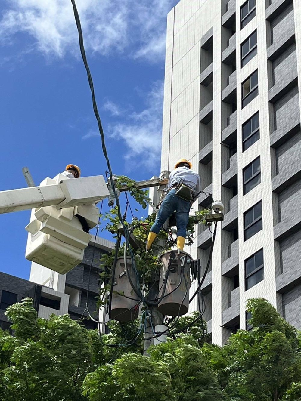 《圖說》台電北西區處搶修人員更換颱風吹斷開關木橫擔，完成作業並恢復供電。〈北西區處提供〉