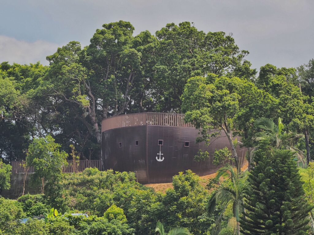 森林中的方舟 1